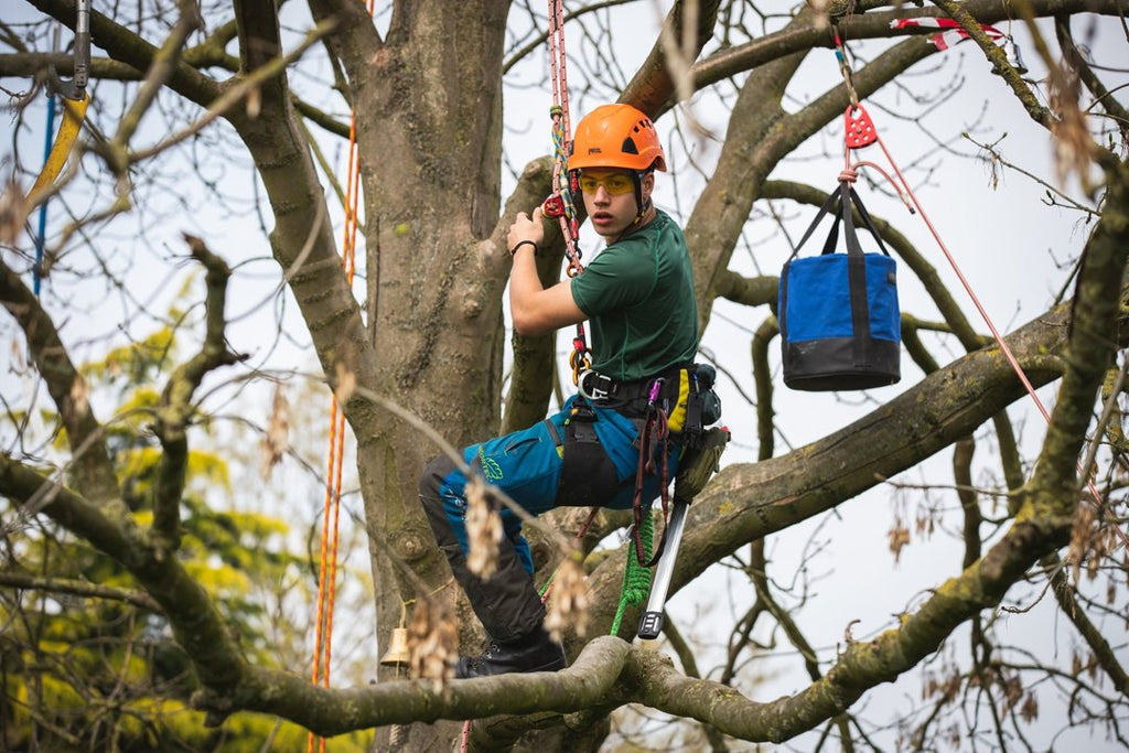 3ATC Climbing Competition - Arbortec US