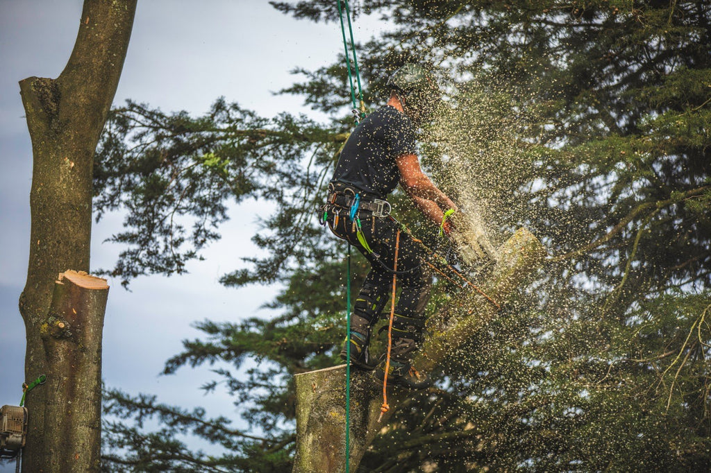 Browns Tree Management - A Week on the Tools Part 1 - Arbortec US