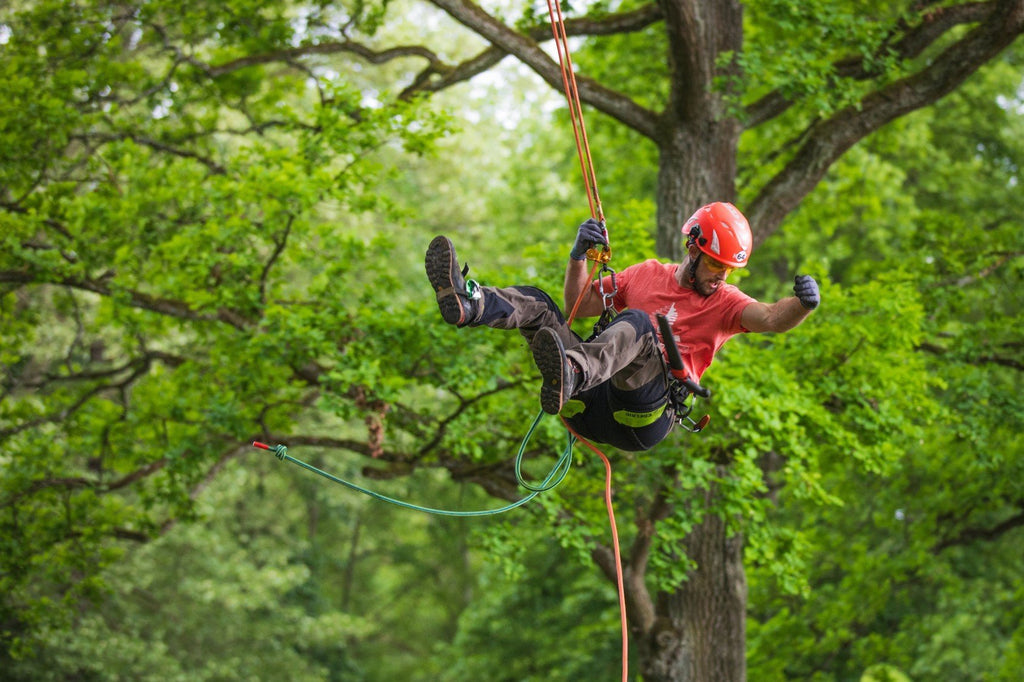German Tree Climbing Championships - Arbortec US