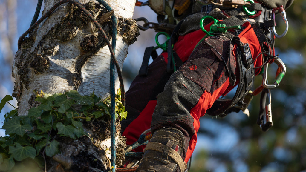 Introducing the Brand New Arbortec Forestwear Deep Forest Chainsaw Pants - Arbortec US