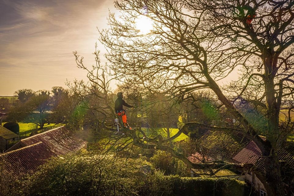 Roll On Spring - Arbortec US