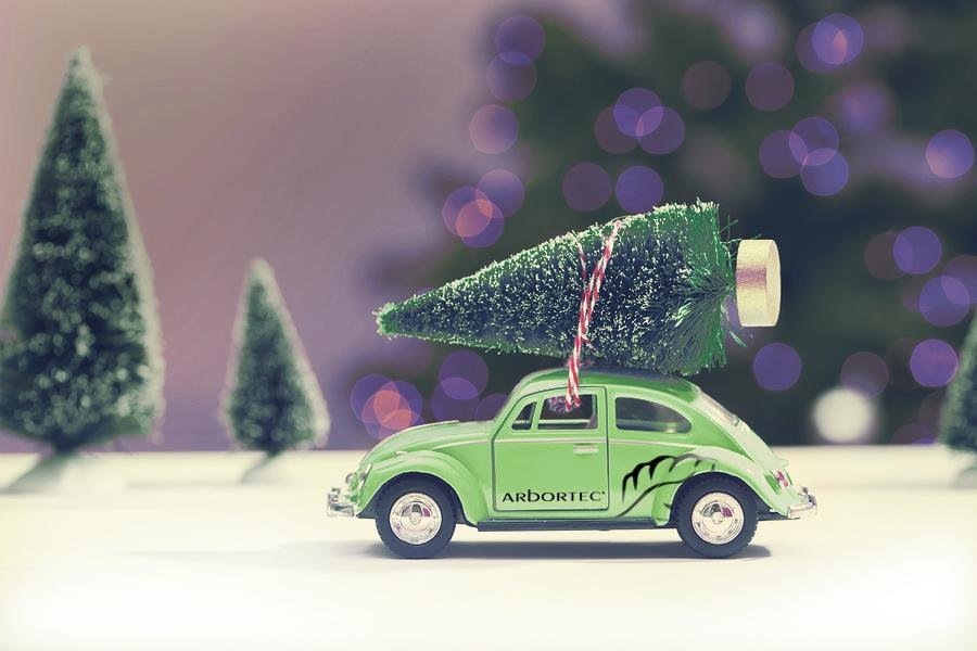 Xmas Open - Arbortec US